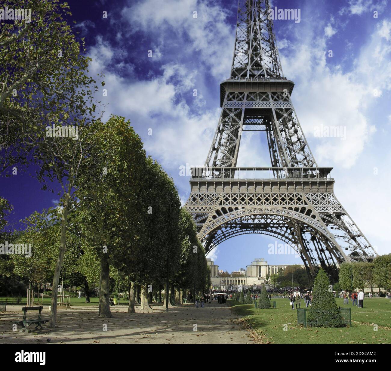 My Image 27