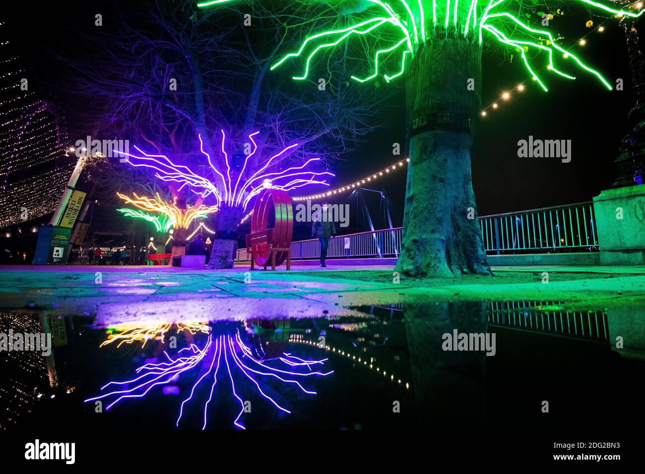 A pedestrian passes 'Lumen' by David Ogle, a row of riverside plane trees illuminated by neon flex, part of 'Winter Light', a new open-air exhibition at the Southbank Centre in London, which features over 15 artworks and new commissions that make use of light, colour and animation from a number of international artists. Stock Photo
