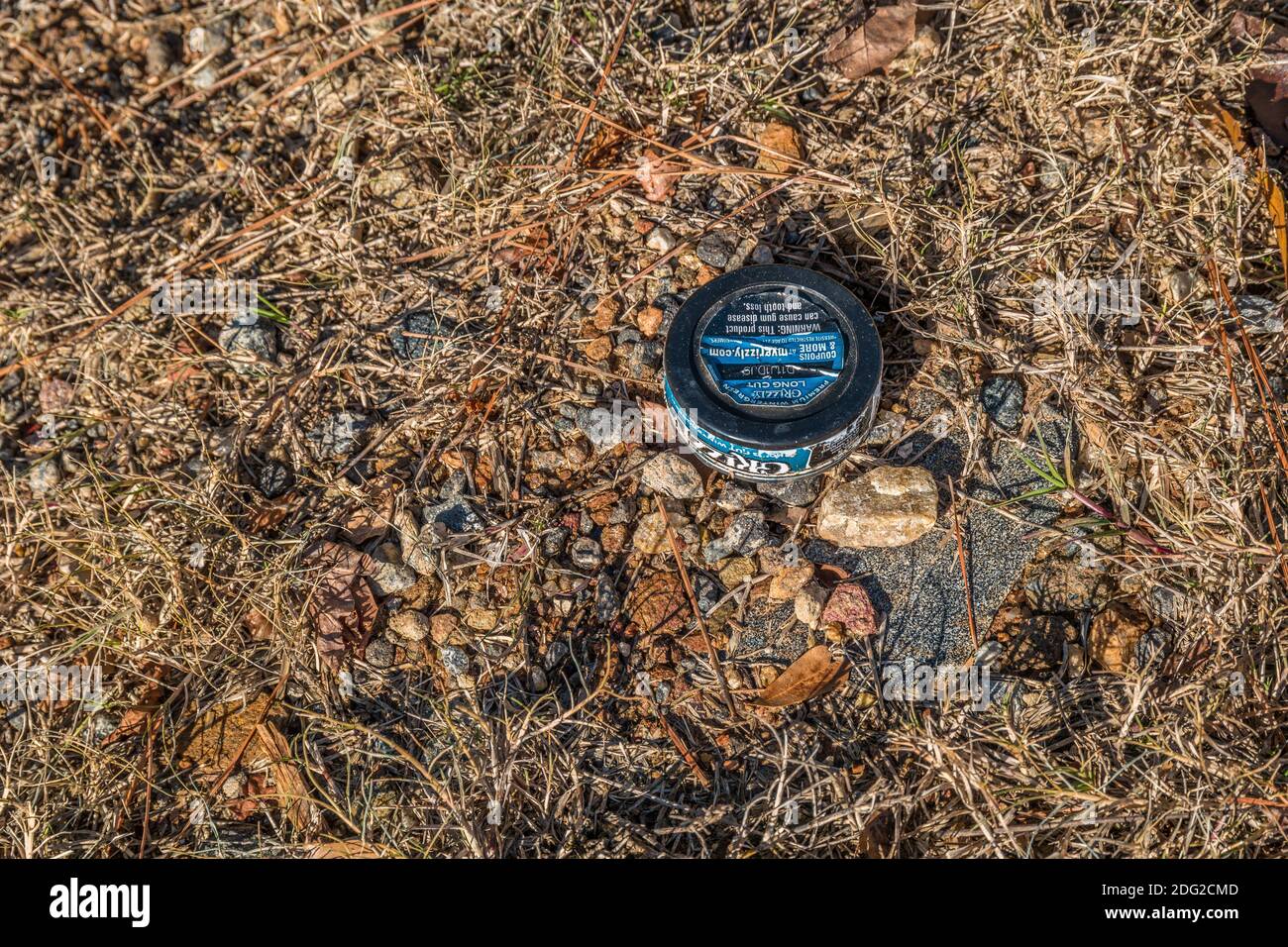 A single plastic container of Grizzly brand tobacco chew laying on the  ground tossed and discarded outdoors garbage polluting the environment on a  bri Stock Photo