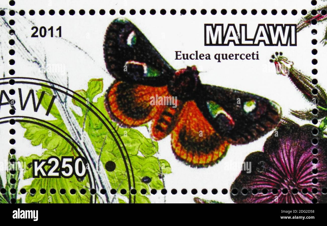 MOSCOW, RUSSIA - OCTOBER 21, 2018: A stamp printed in Malawi shows Euclea querceti, serie, circa 2011 Stock Photo