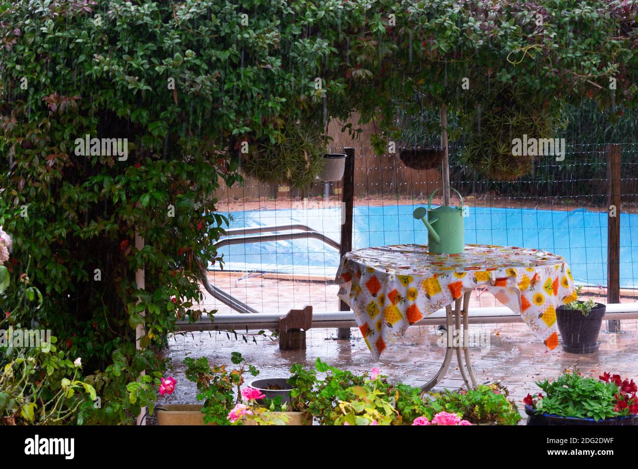 October rain on a patio in the South of France Stock Photo Alamy