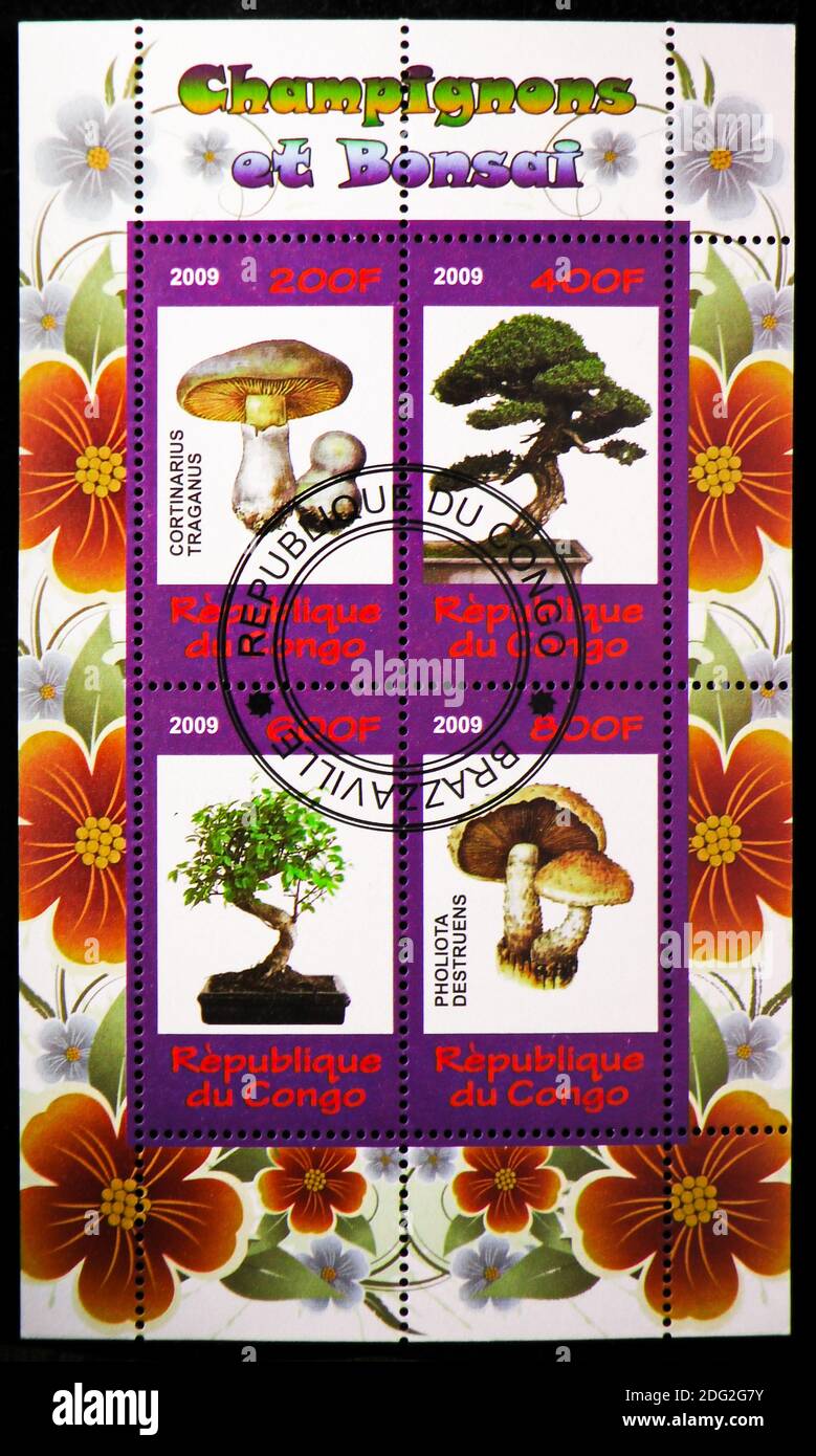 MOSCOW, RUSSIA - OCTOBER 21, 2018: A stamp printed in Congo shows Four stamps from the Champigons and Bonsai serie, circa 2009 Stock Photo