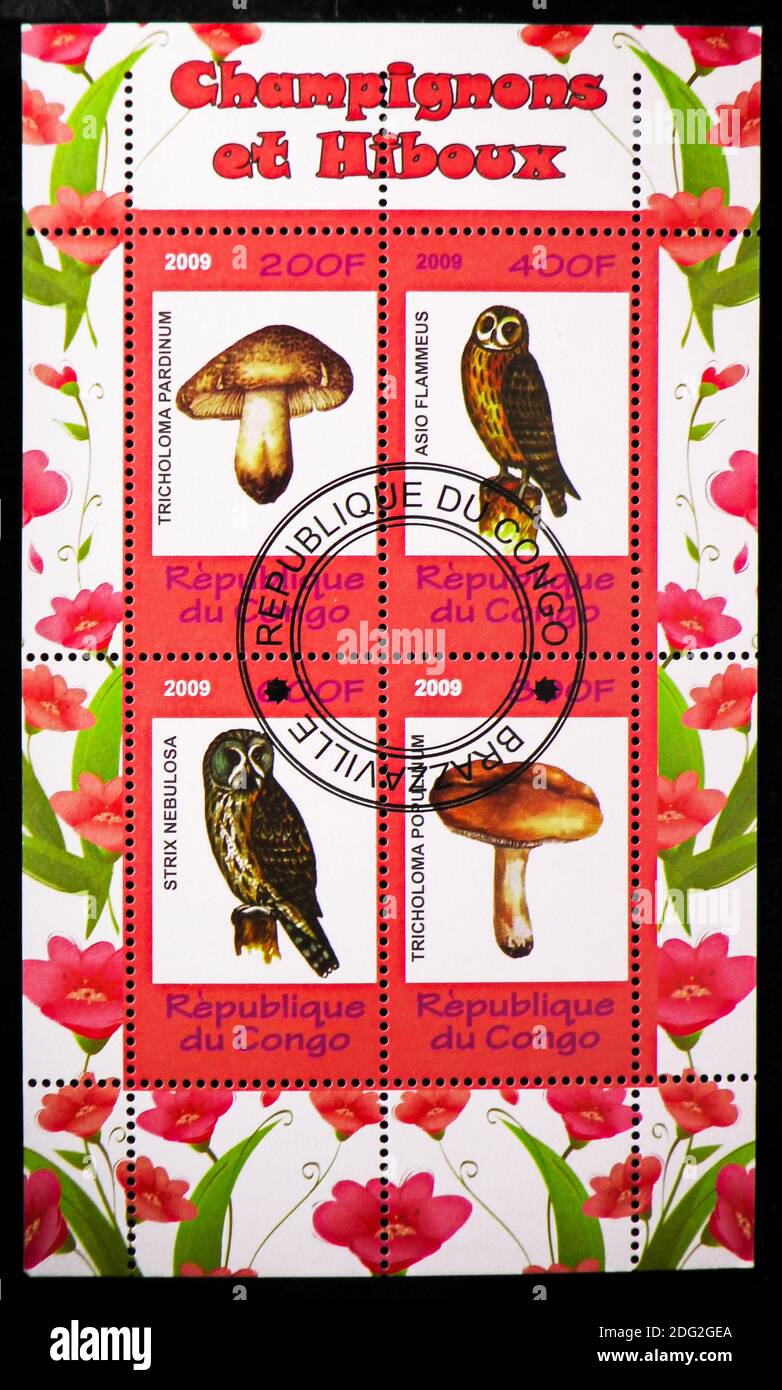 MOSCOW, RUSSIA - OCTOBER 21, 2018: A stamp printed in Congo shows block stamps from the Mushrooms and Owls serie, circa 2009 Stock Photo