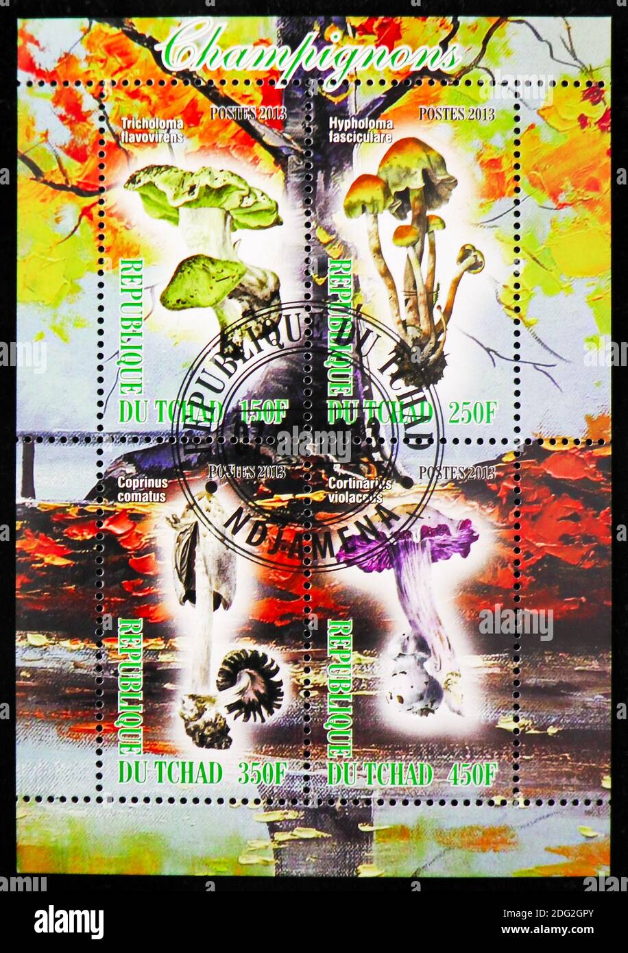 MOSCOW, RUSSIA - OCTOBER 21, 2018: A stamps printed in Chad shows block of Mushrooms serie, circa 2013 Stock Photo