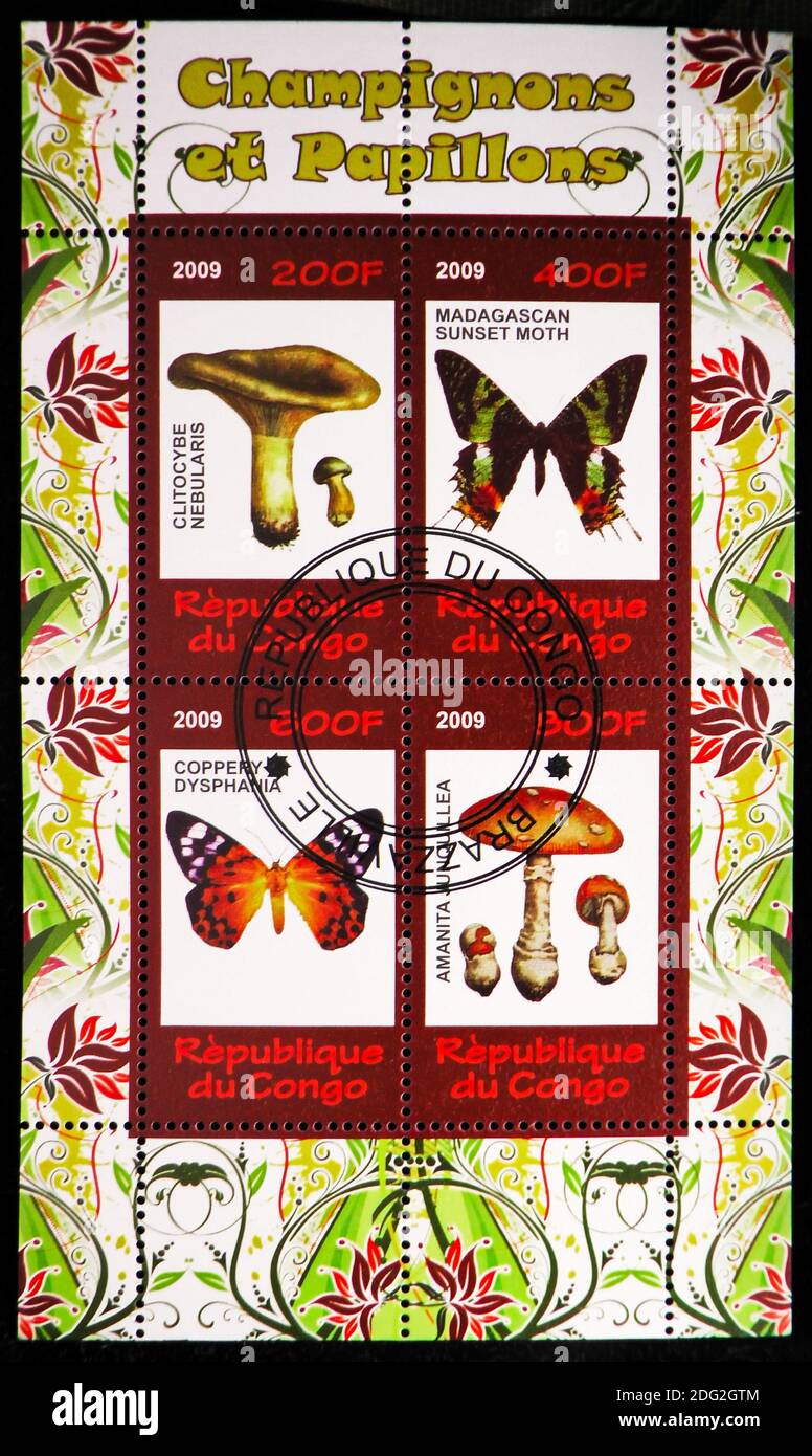 MOSCOW, RUSSIA - OCTOBER 21, 2018: A stamps printed in Congo shows block of Mushrooms and Butterflies serie, circa 2009 Stock Photo