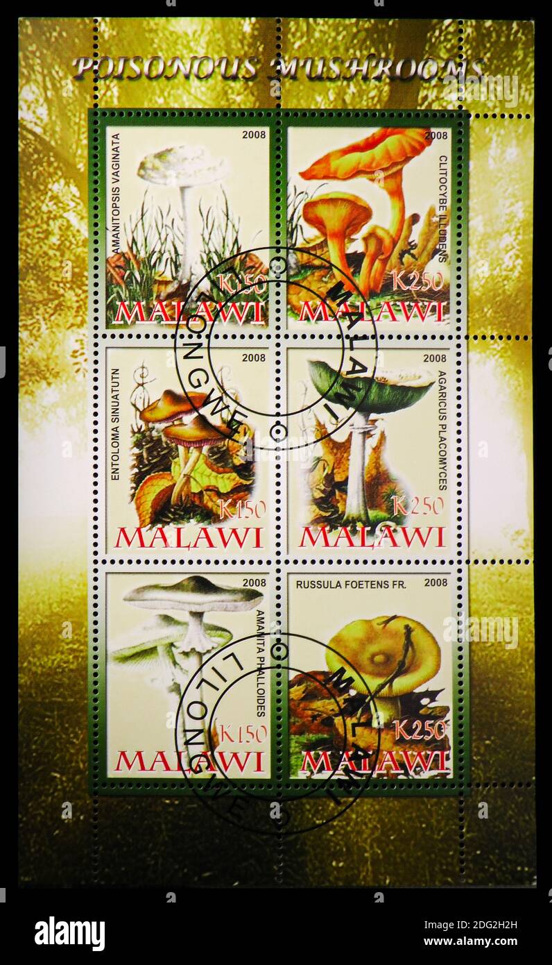 MOSCOW, RUSSIA - OCTOBER 21, 2018: Six postage stamps printed in Malawi from the Poisonous mushrooms serie, circa 2008 Stock Photo
