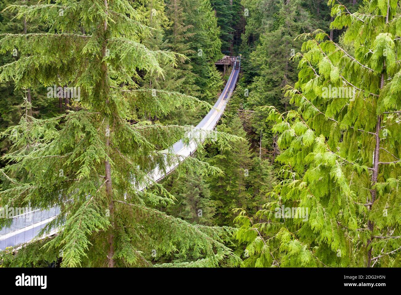 The Capilano Suspension Bridge in North Vancouver, British Columbia, Canada Stock Photo