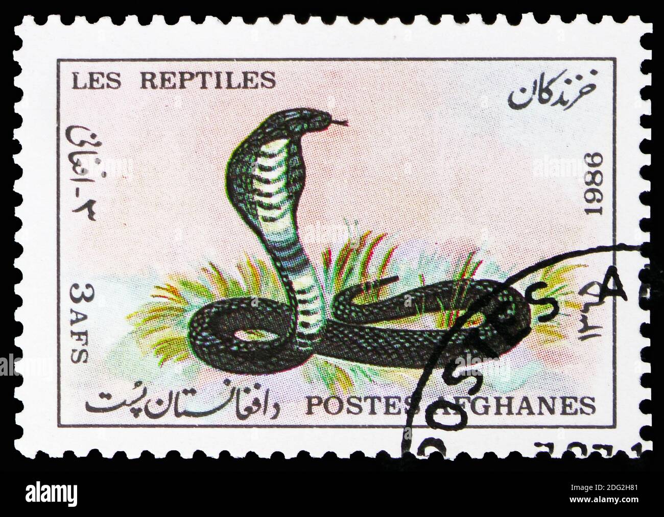 MOSCOW, RUSSIA - NOVEMBER 10, 2018: A stamp printed in Afghanistan shows Cape Cobra (Naja nivea), Animals serie, circa 1986 Stock Photo