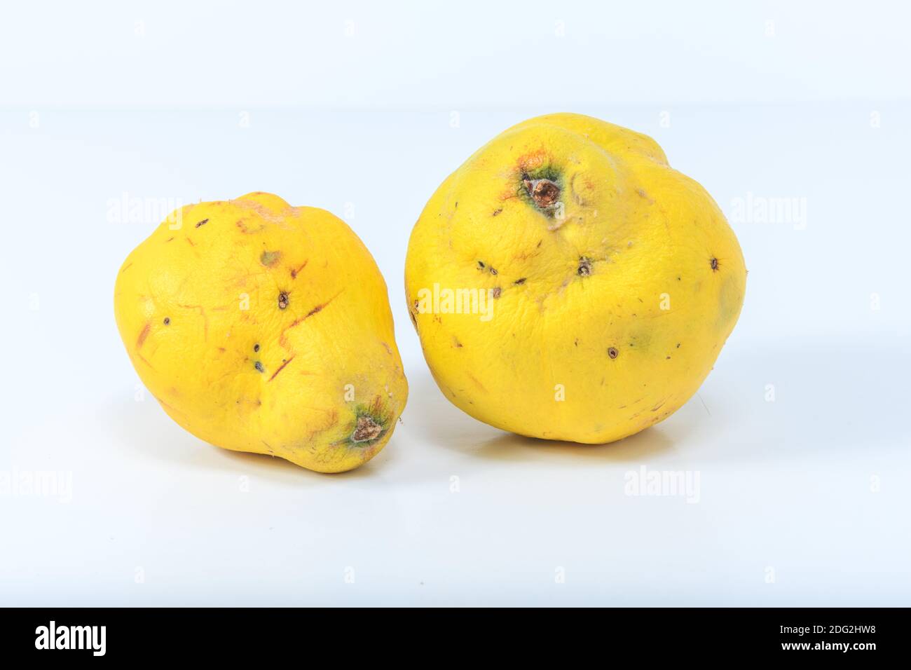 Quince is a fruit full of health benefits and virtues Stock Photo Alamy