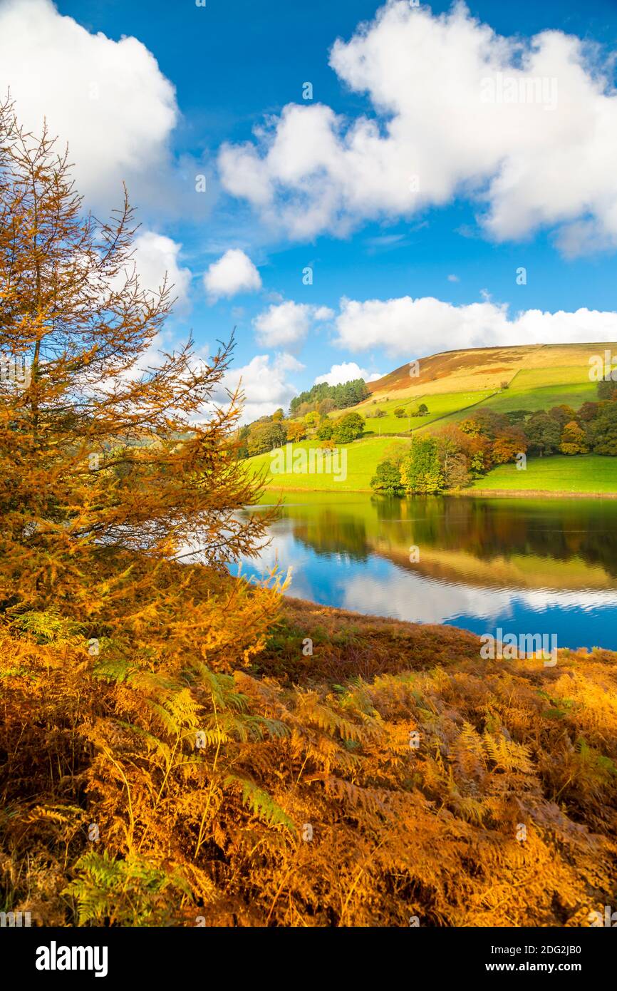 ladybower-reservoir-autumn-hi-res-stock-photography-and-images-alamy