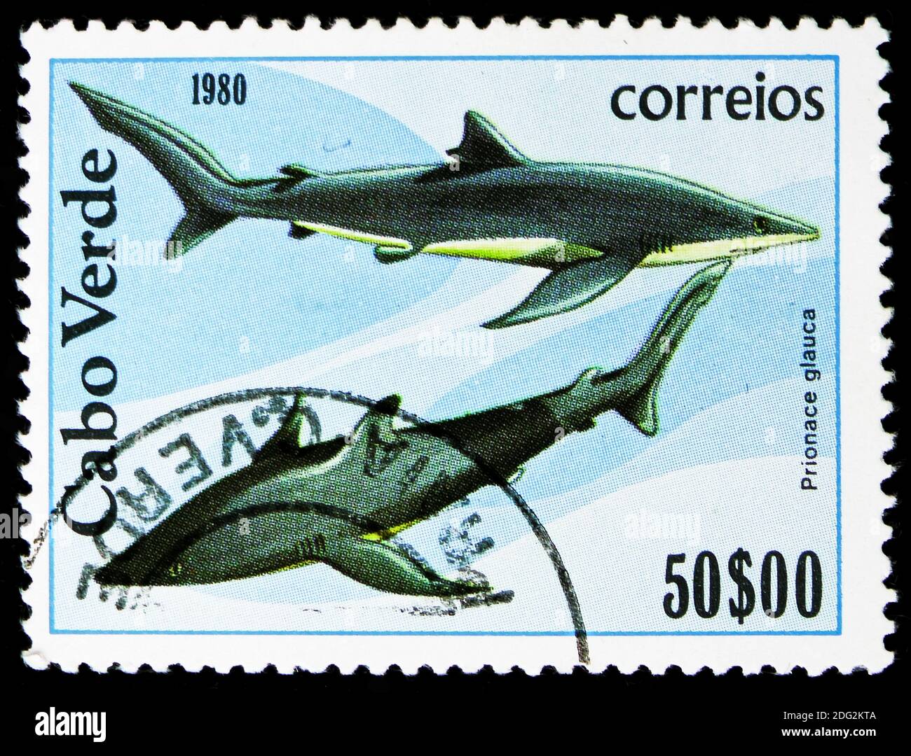 MOSCOW, RUSSIA - NOVEMBER 10, 2018: A stamp printed in Cape Verde shows Blue Shark (Prionace glauca), Fishes serie, circa 1980 Stock Photo