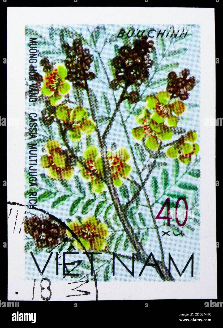 MOSCOW, RUSSIA - NOVEMBER 10, 2018: A stamp printed in Vietnam shows Yellow sena (Cassia multijuga), Wildflowers serie, circa 1977 Stock Photo