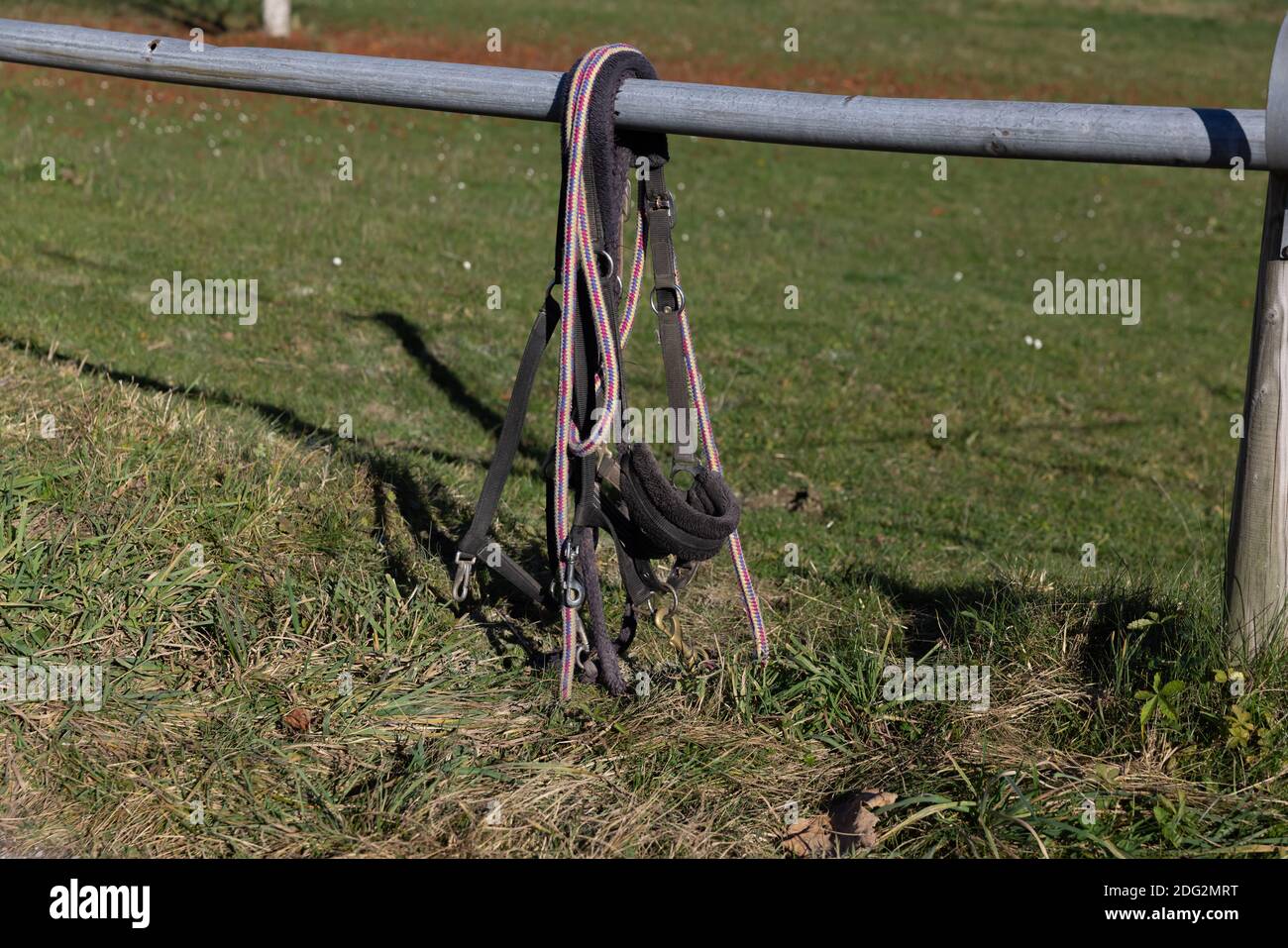 black and white horse bridle hangs from a fence in front of a green autumn meadow Stock Photo