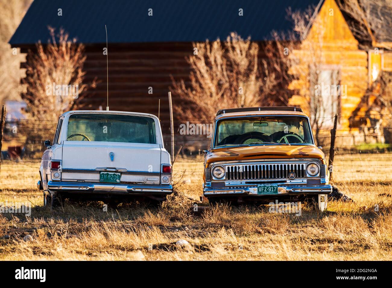 Old Jeep Wagoneers sitting in the weeds on a Colorado ranch Stock Photo