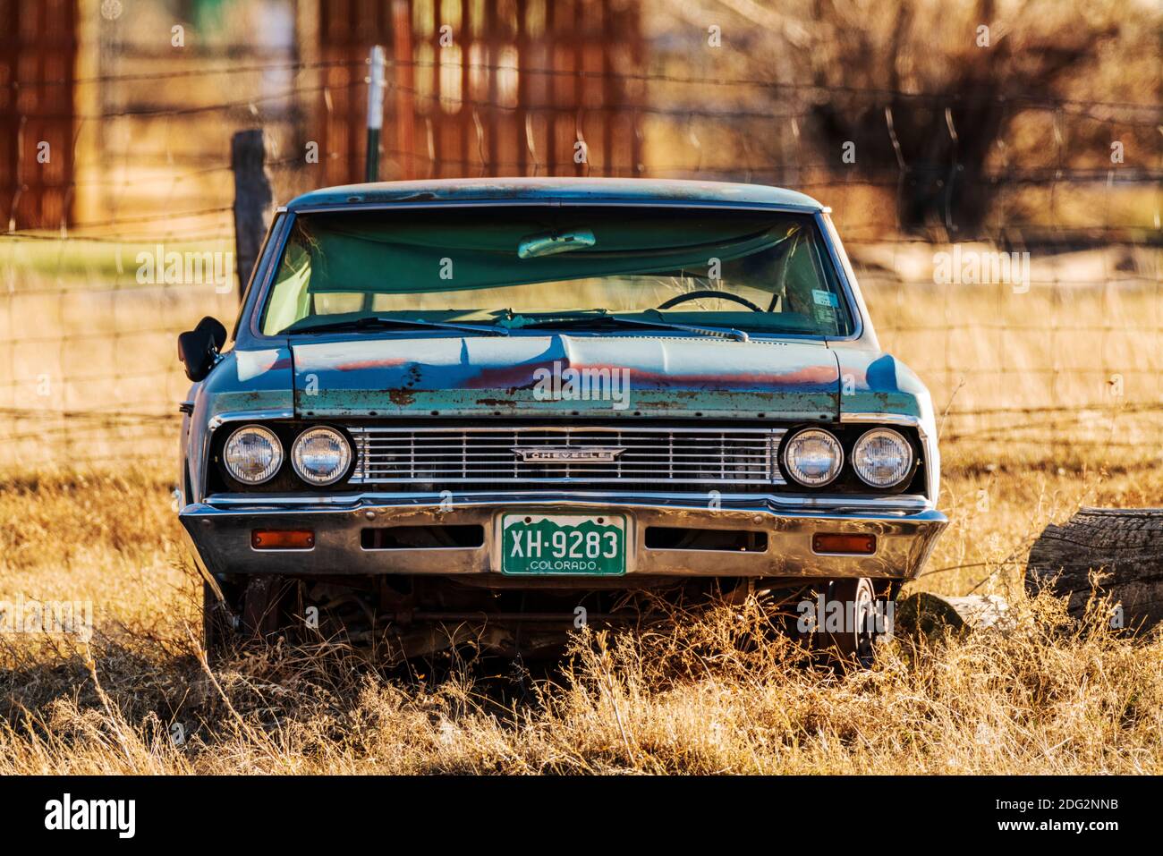 Old Chevrolet Chevelle sitting in the weeds on a Colorado ranch Stock Photo
