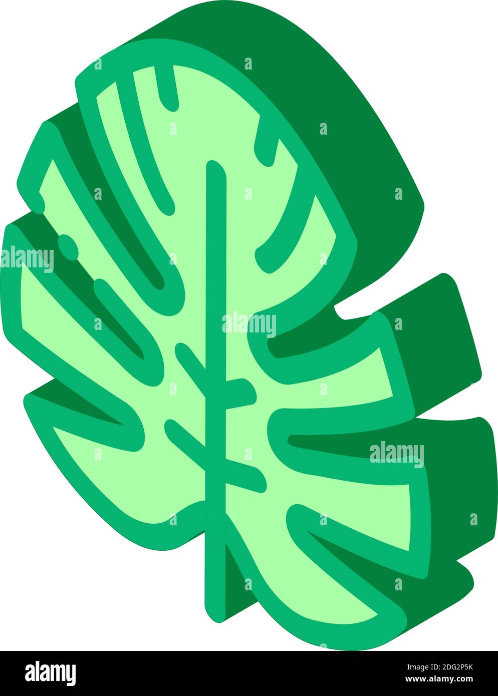 plant leaf isometric icon vector illustration color Stock Vector Image ...
