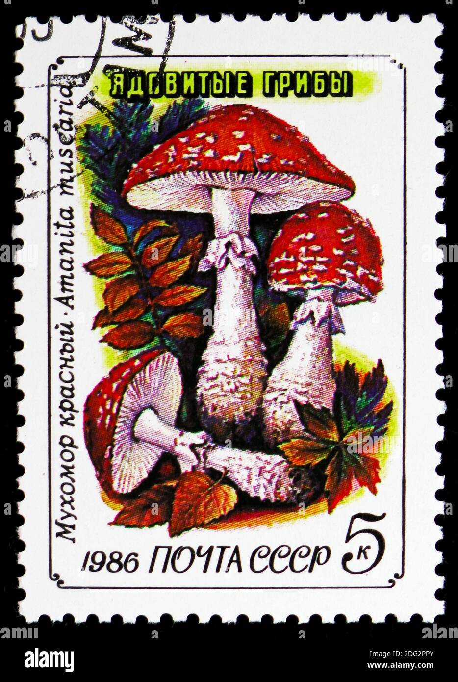 MOSCOW, RUSSIA NOVEMBER 10, 2018 A stamp printed in USSR (Russia