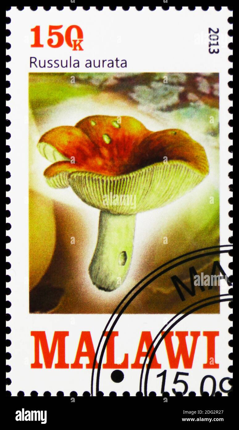 MOSCOW, RUSSIA - OCTOBER 21, 2018: A stamp printed in Malawi shows Russula aurata, Mushrooms serie, circa 2013 Stock Photo