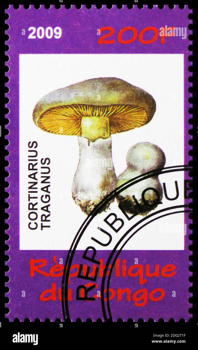 MOSCOW, RUSSIA - OCTOBER 21, 2018: A stamp printed in Congo shows Cortinarius traganus, Bonsai and mushrooms serie, circa 2009 Stock Photo