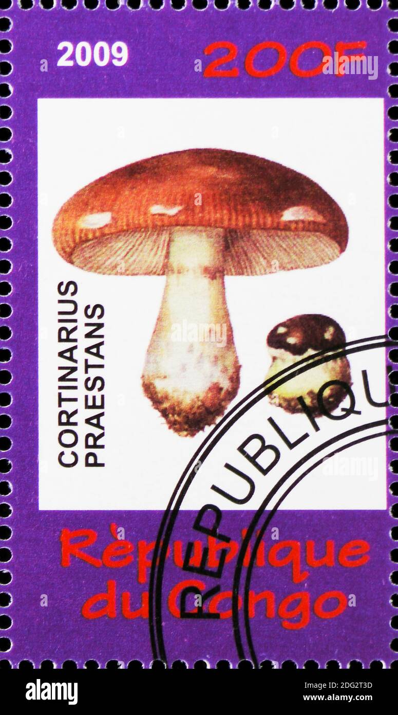 MOSCOW, RUSSIA - OCTOBER 21, 2018: A stamp printed in Congo shows Cortinarius praestans, Bonsai and mushrooms serie, circa 2009 Stock Photo