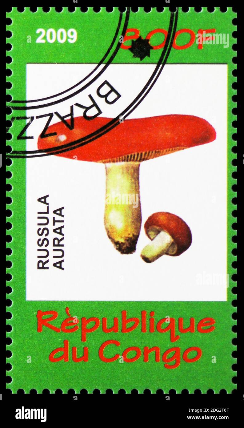 MOSCOW, RUSSIA - OCTOBER 21, 2018: A stamp printed in Congo shows Russula aurata, Mushrooms and Orchids serie, circa 2009 Stock Photo