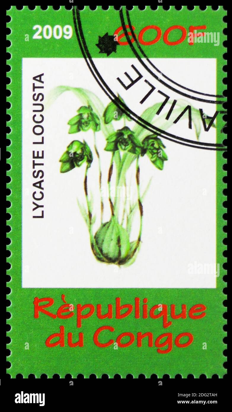 MOSCOW, RUSSIA - OCTOBER 21, 2018: A stamp printed in Congo shows Lycaste locusta, Mushrooms and Orchids serie, circa 2009 Stock Photo