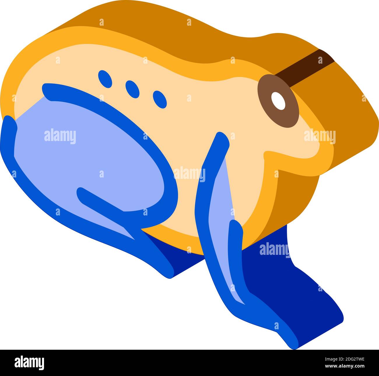 tropical frog isometric icon vector illustration color Stock Vector ...