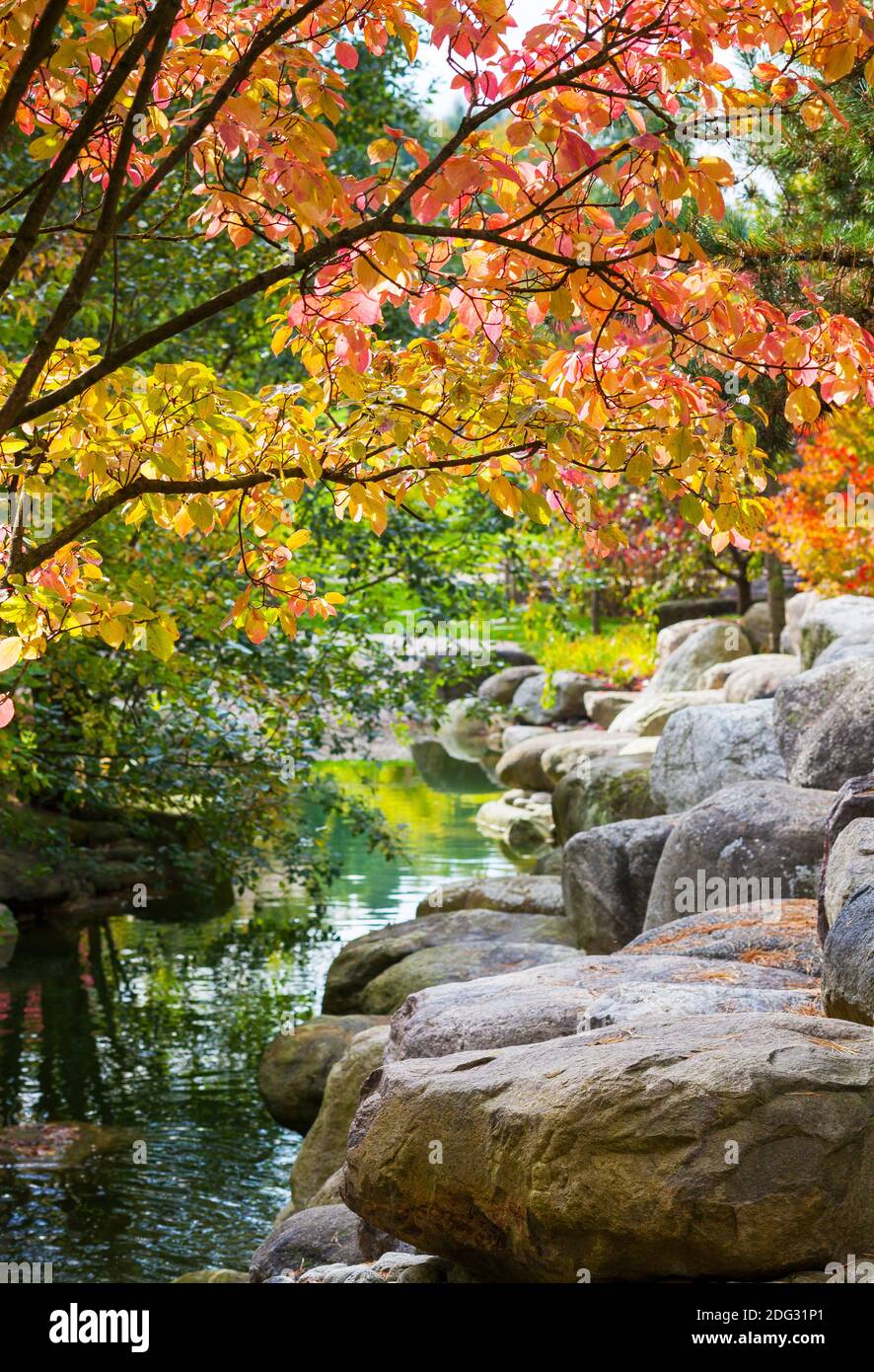 Brook little hires stock photography and images Alamy