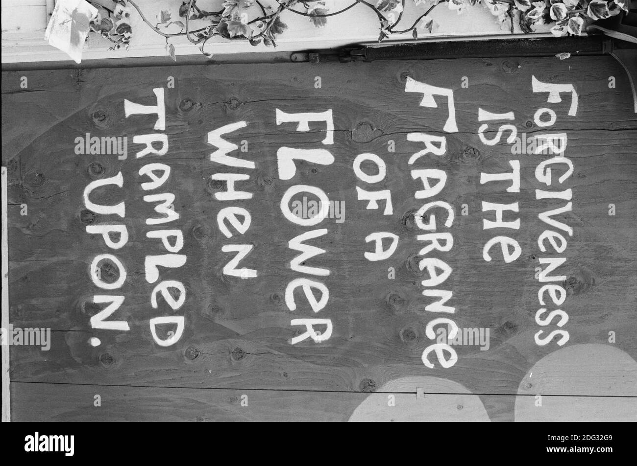 1960s Hispanic Riots 60s Berkeley, San Francisco Riots,1960s Stock Photo - Alamy