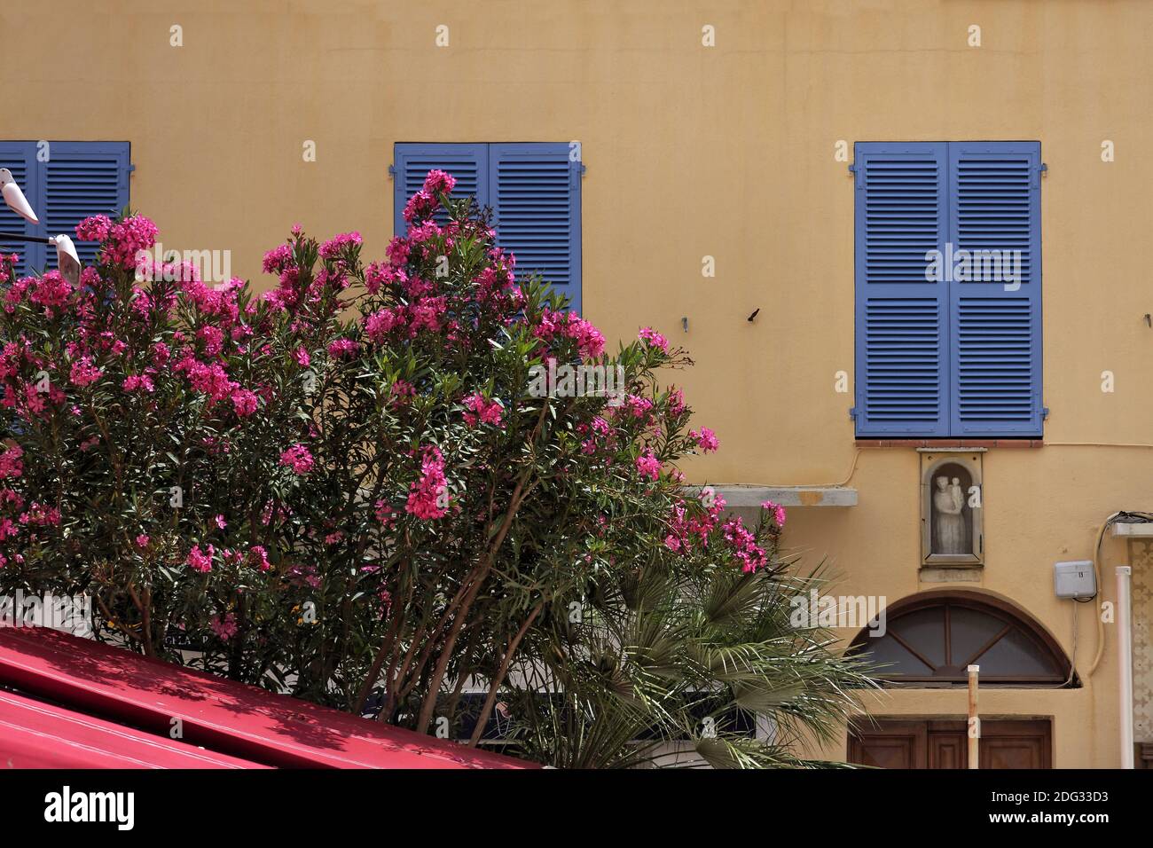 Calvi, old town, Balagne, Northern Corsica, France Stock Photo