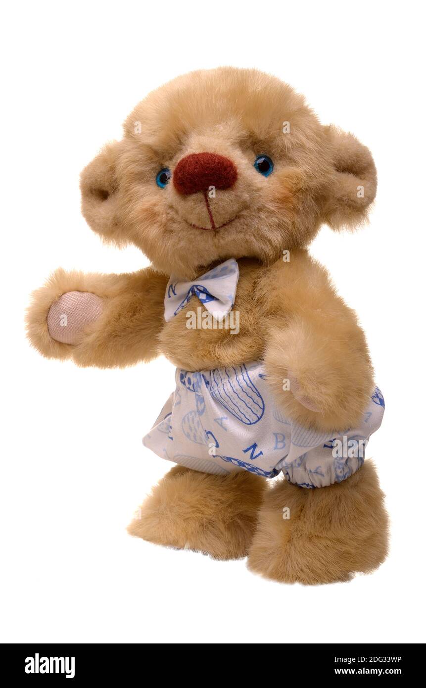 Soft toy bear Stock Photo Alamy