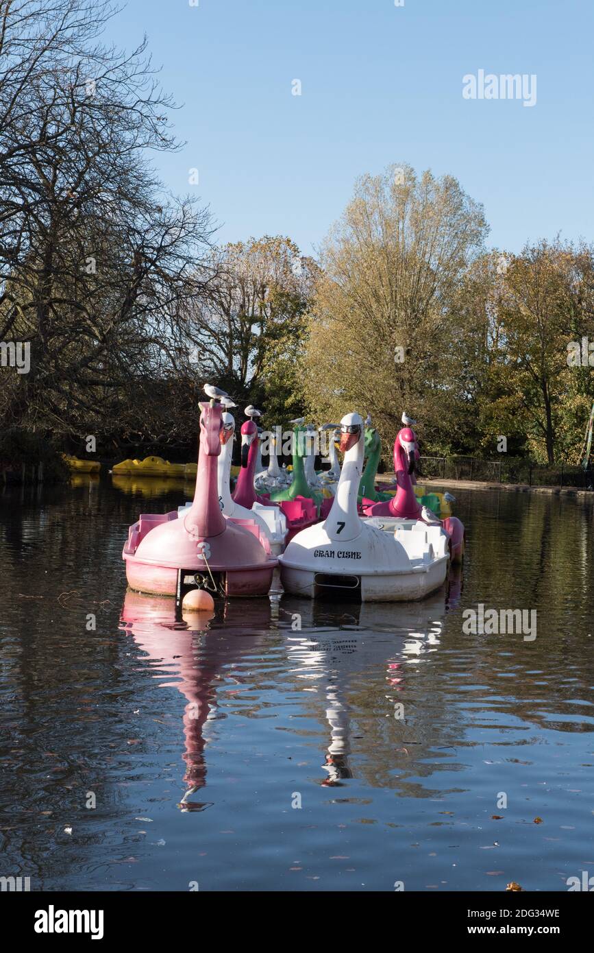 Pedalos or pedal boats moored on boating lake Alexandra Palace Park, London Borough of Haringey Stock Photo