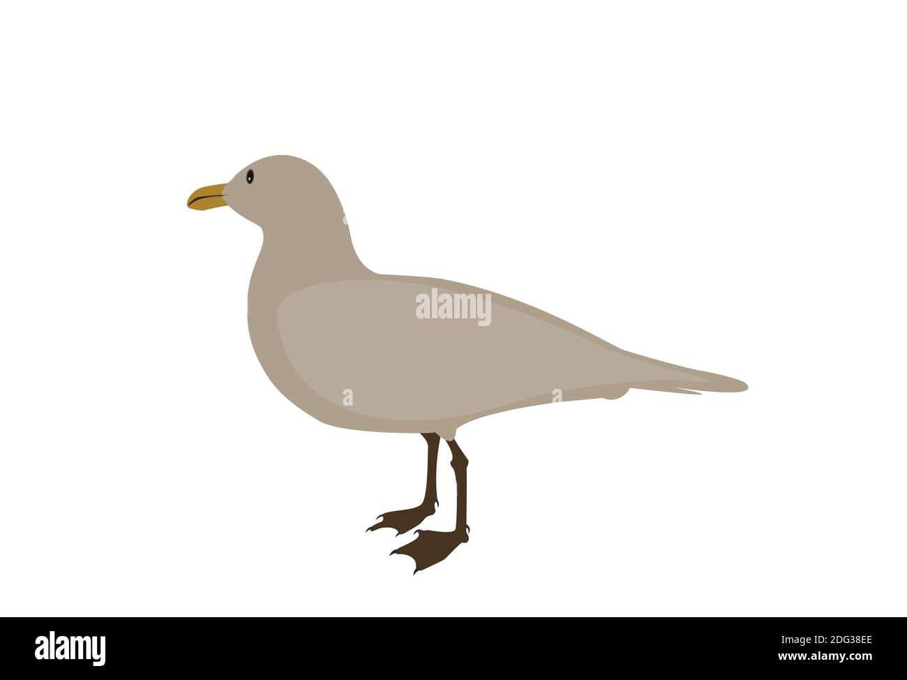 Silhouette of Water Duck on white background. Illustration. Stock Photo