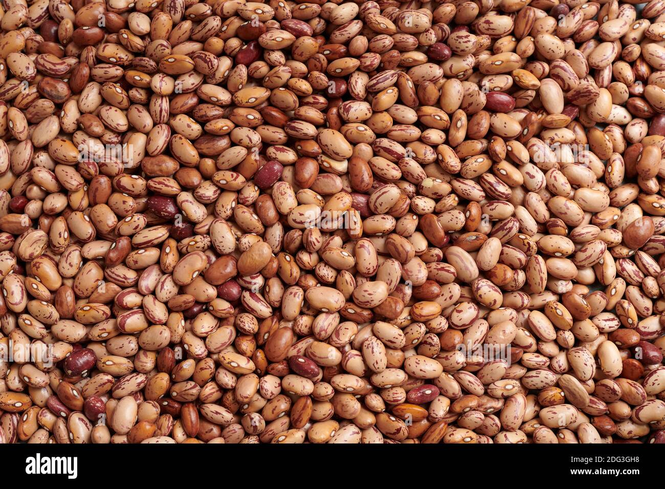 Macro full frame shot of pinto beans. High resolution background image
