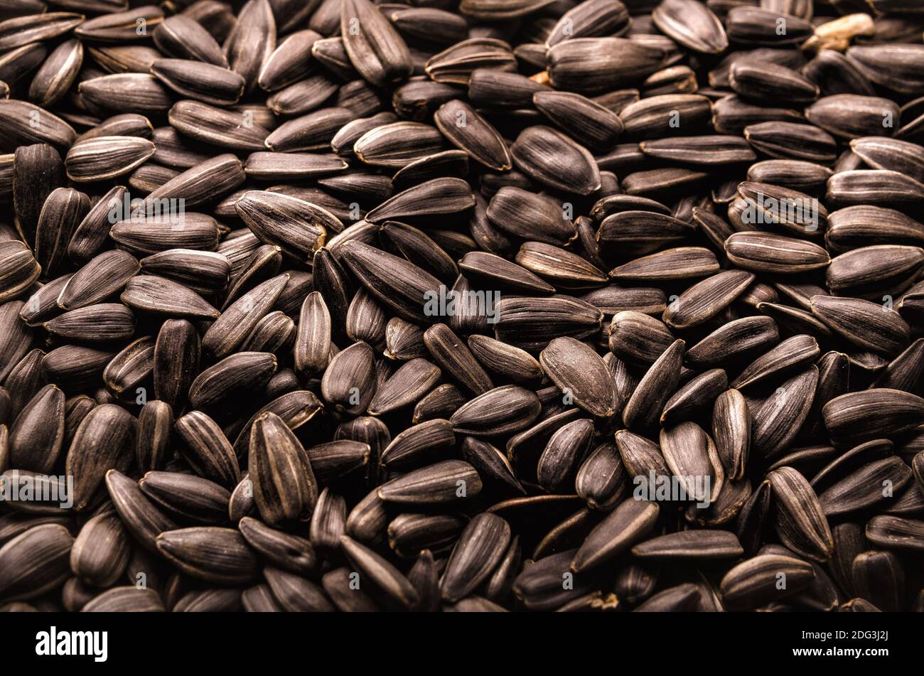 Roasted sunflower seeds Stock Photo Alamy