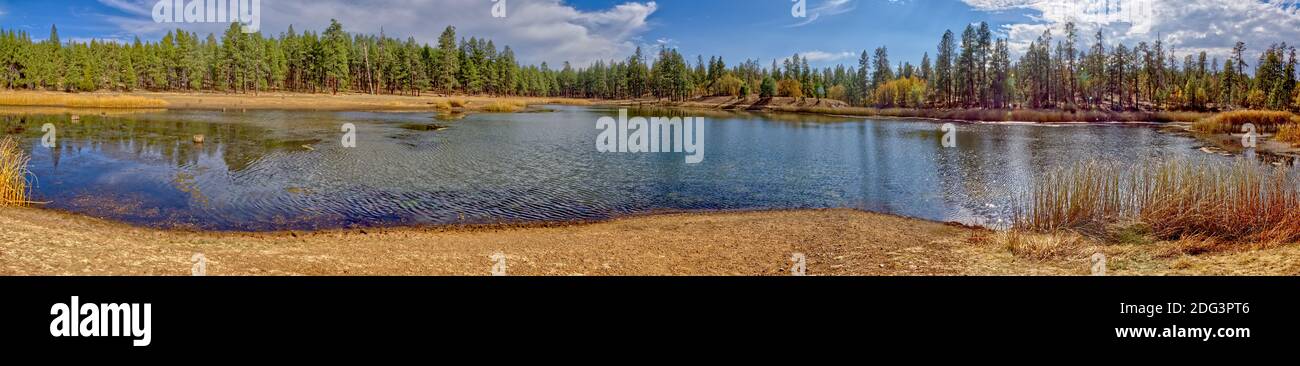 Panorama of JD Dam Lake in the Kaibab National Forest south of Williams ...