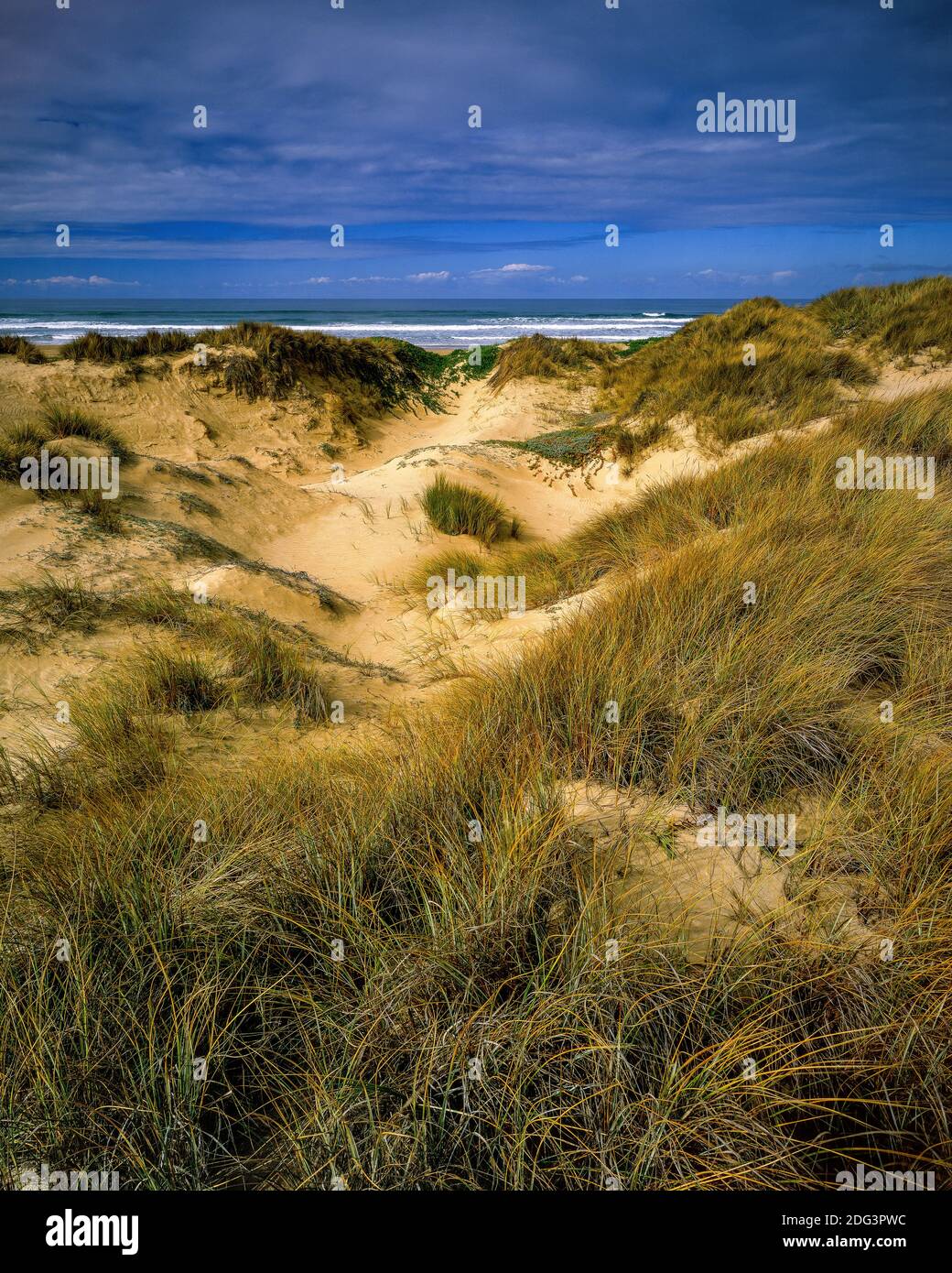 Dunes, Pismo State Beach, Pismo Dunes State Reserve, San Luis Obispo ...