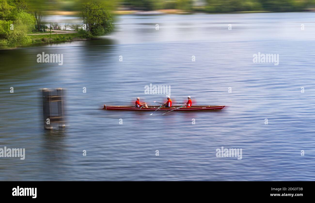 Coxed fours Stock Photo