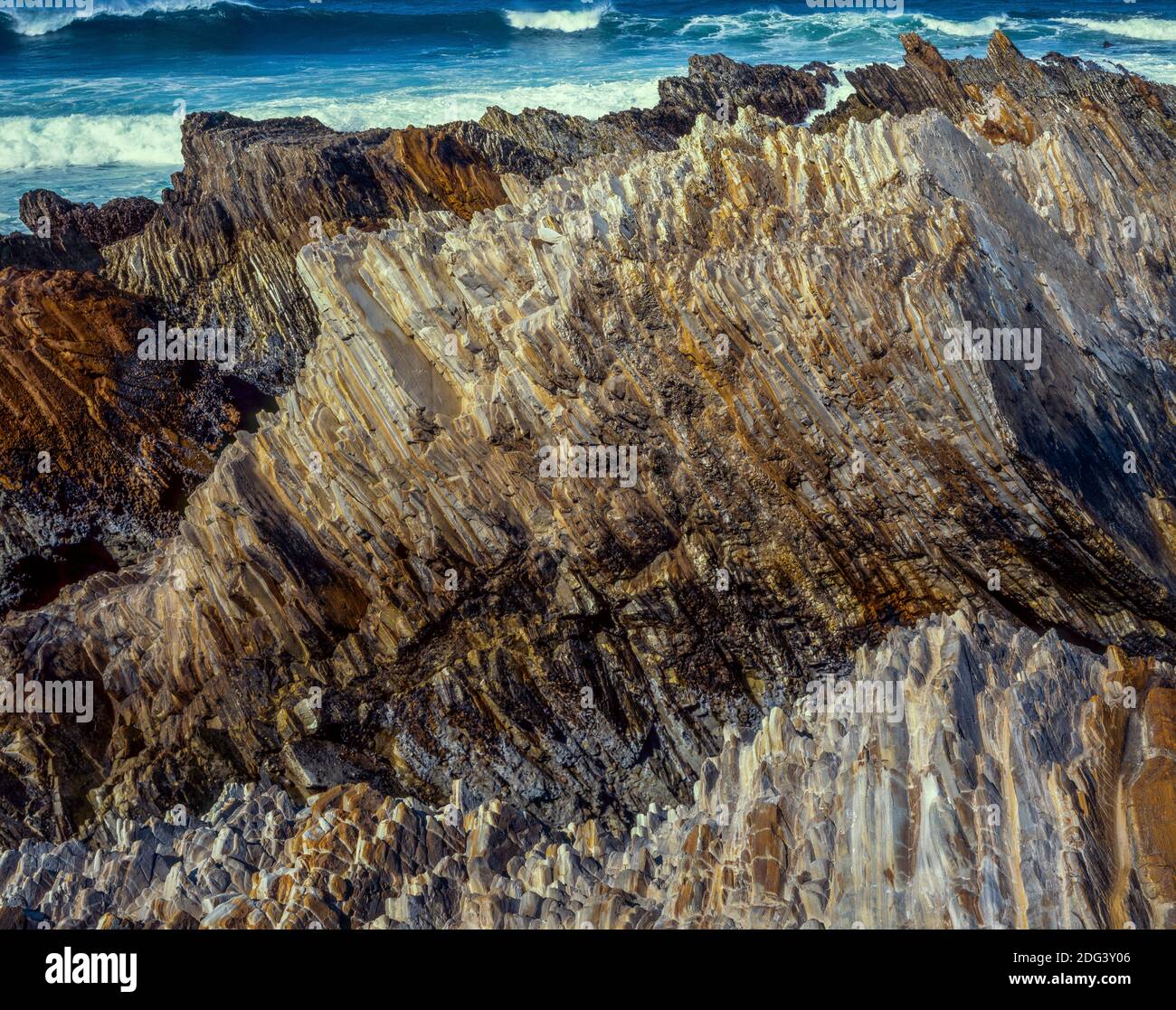 My Image 30