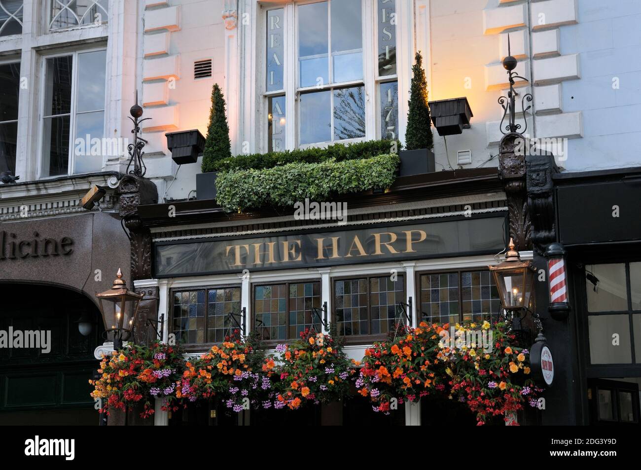 The Harp, an award-winning Fuller's pub in Chandos Place, London, England, UK Stock Photo