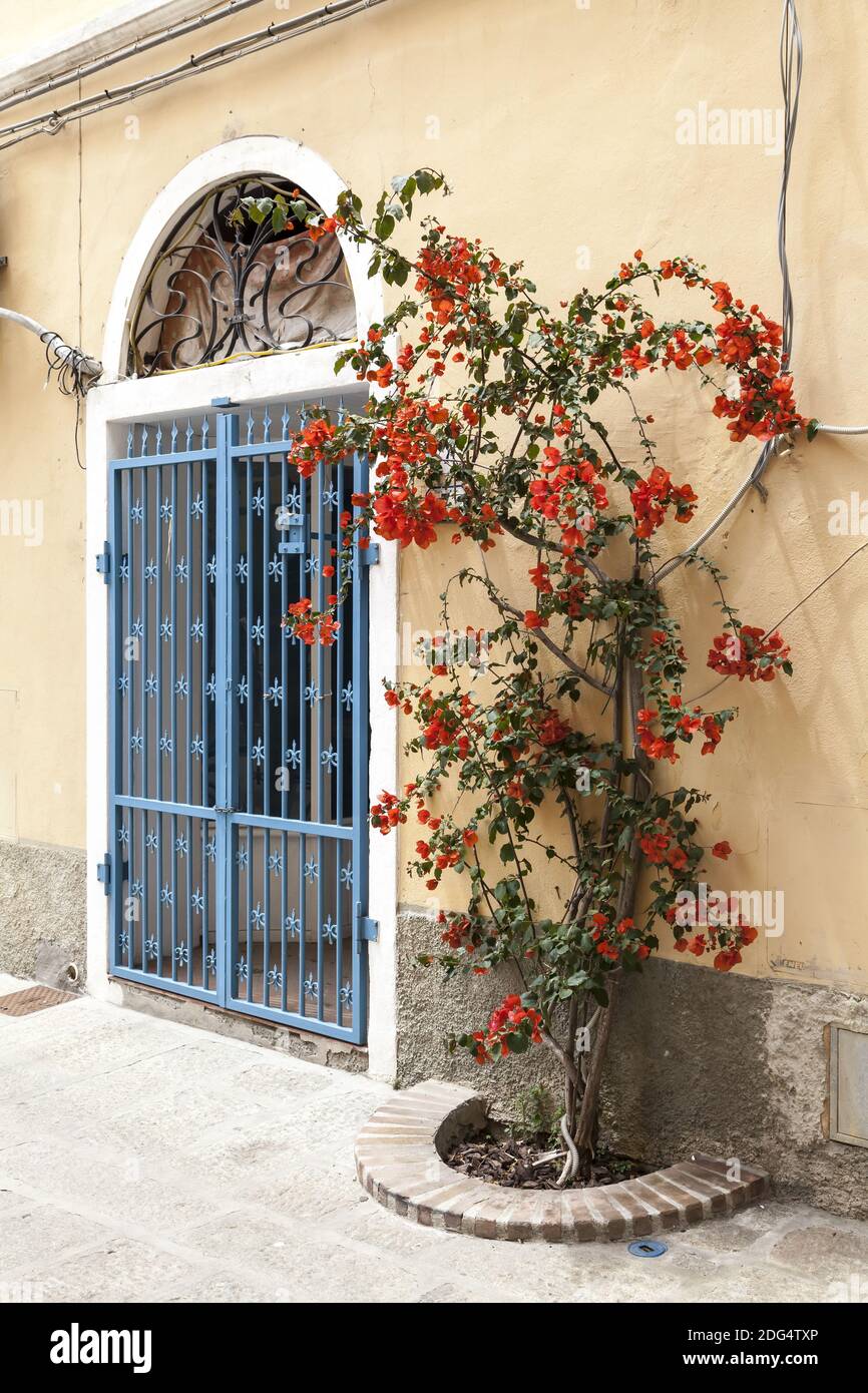 Porto Azzurro, facade detail, Elba, Tuscany, Italy Stock Photo