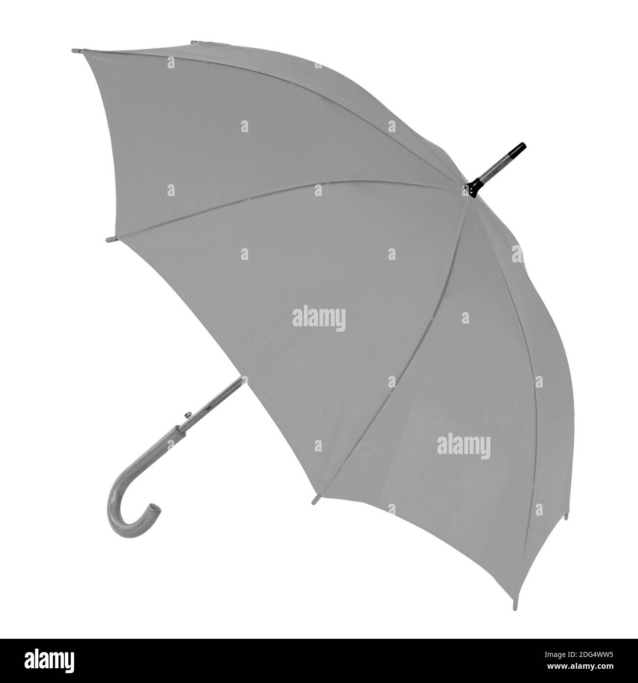 Gray umbrella on a white background Stock Photo Alamy