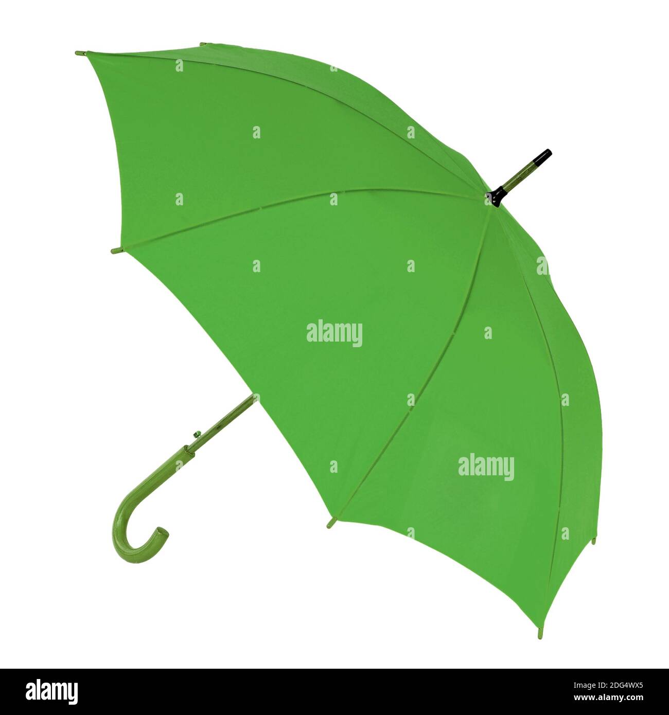 Dark green umbrella on a white background Stock Photo - Alamy