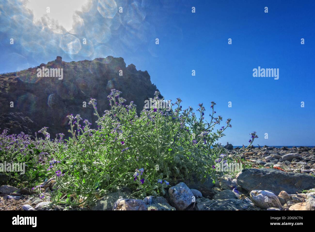 On the hillside Stock Photo