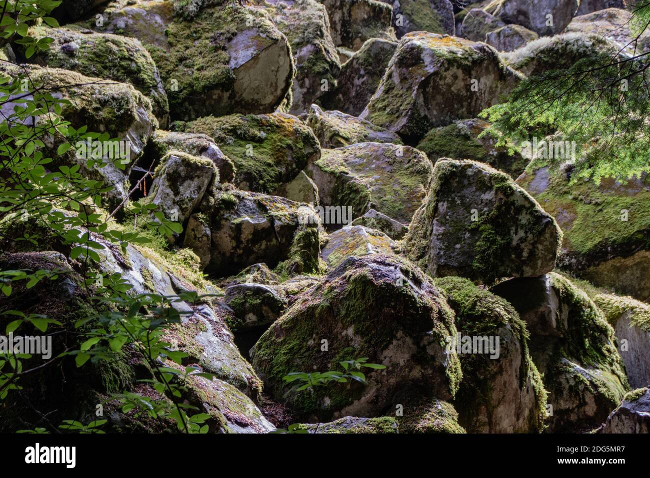 Unique rocks with moss near Brandywine falls. Scenic coastal British ...