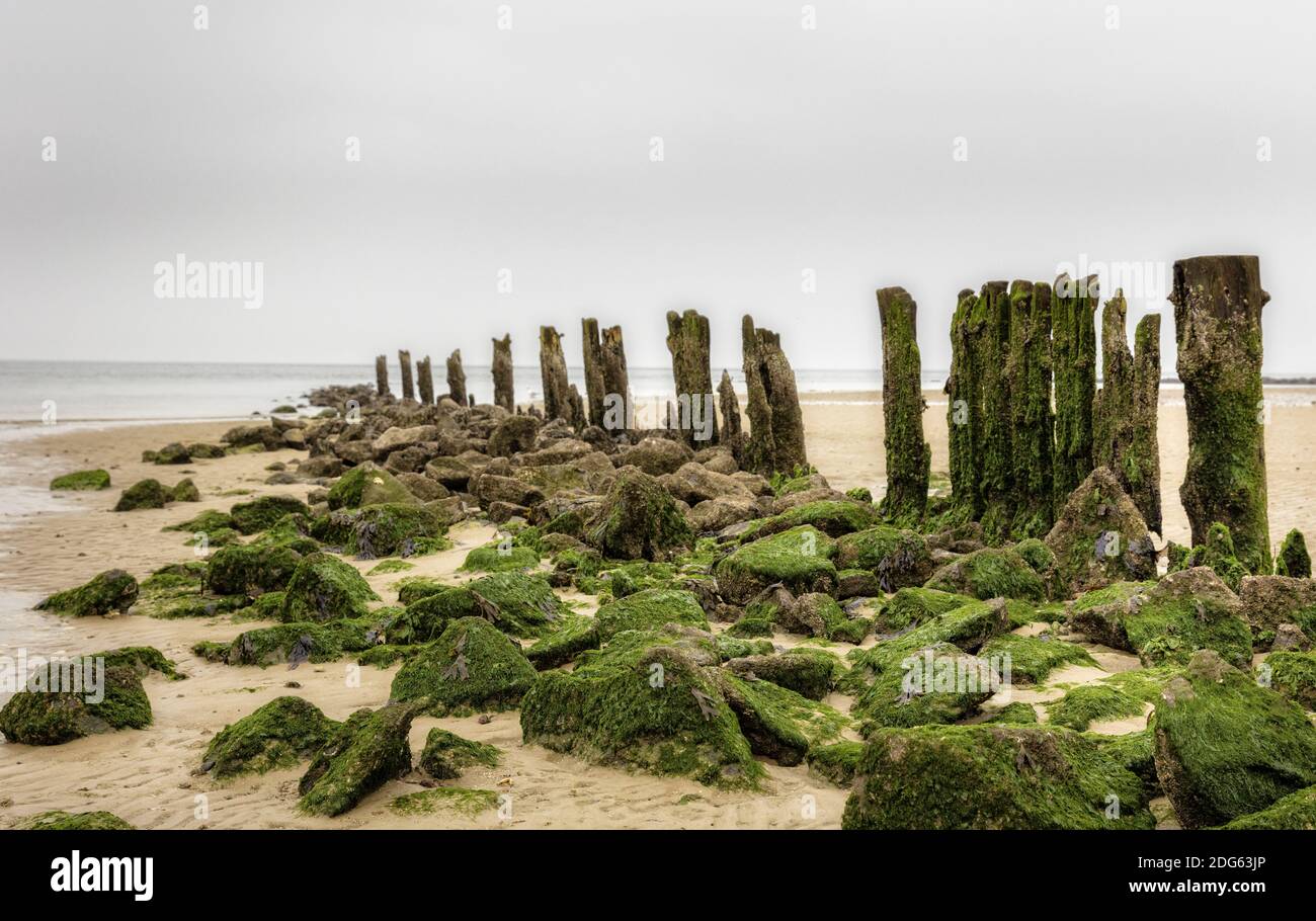 November weather Stock Photo