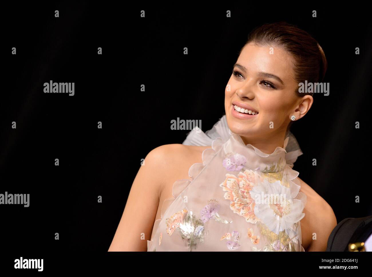 Hailee Steinfeld poses in the press room during the 89th Annual Academy Awards at Hollywood & Highland Center on February 26, 2017 in Los Angeles, CA, USA. Photo by Lionel Hahn/ABACAPRESS.COM Stock Photo