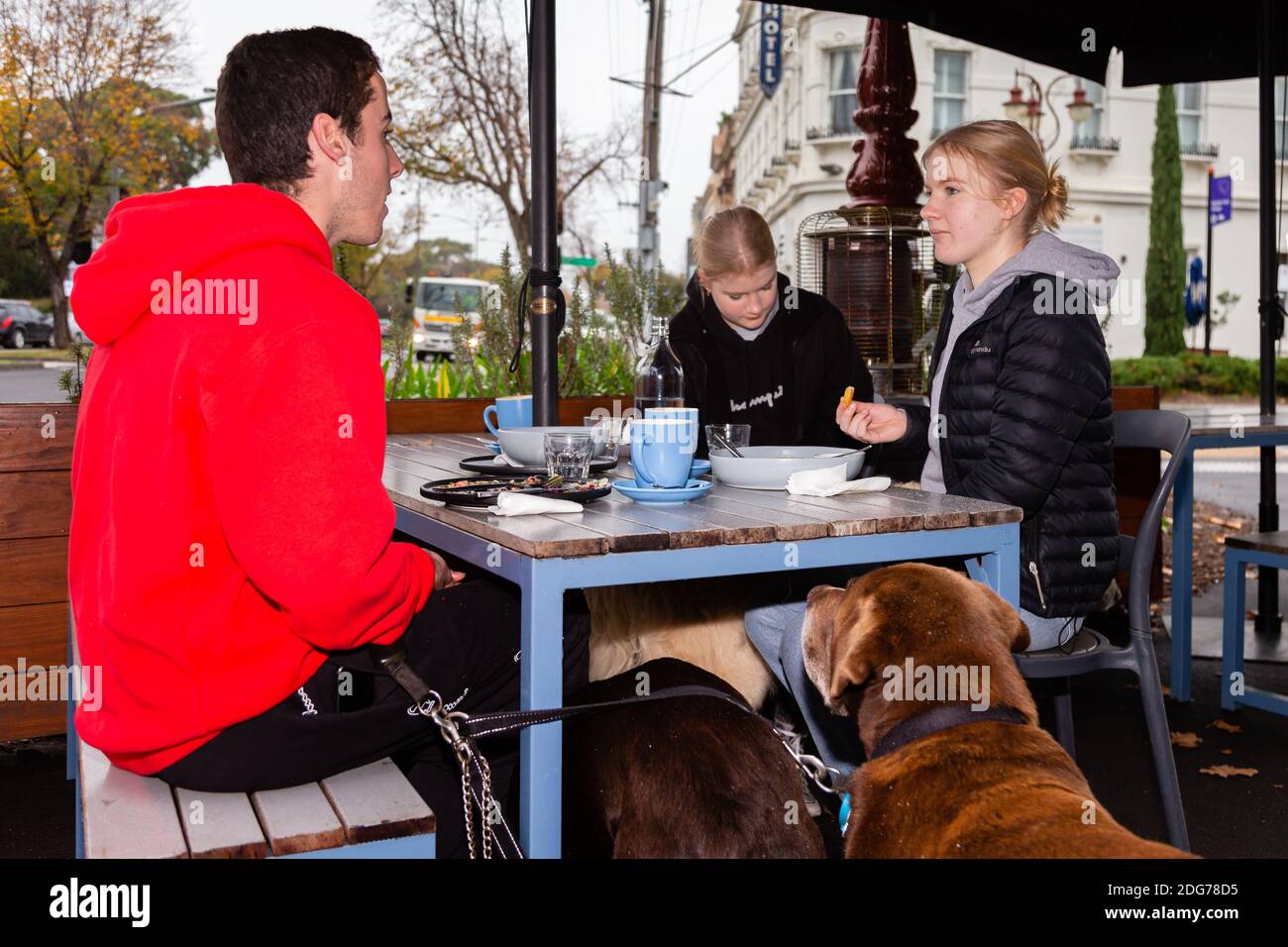 Are Dogs Allowed In Restaurants In Australia