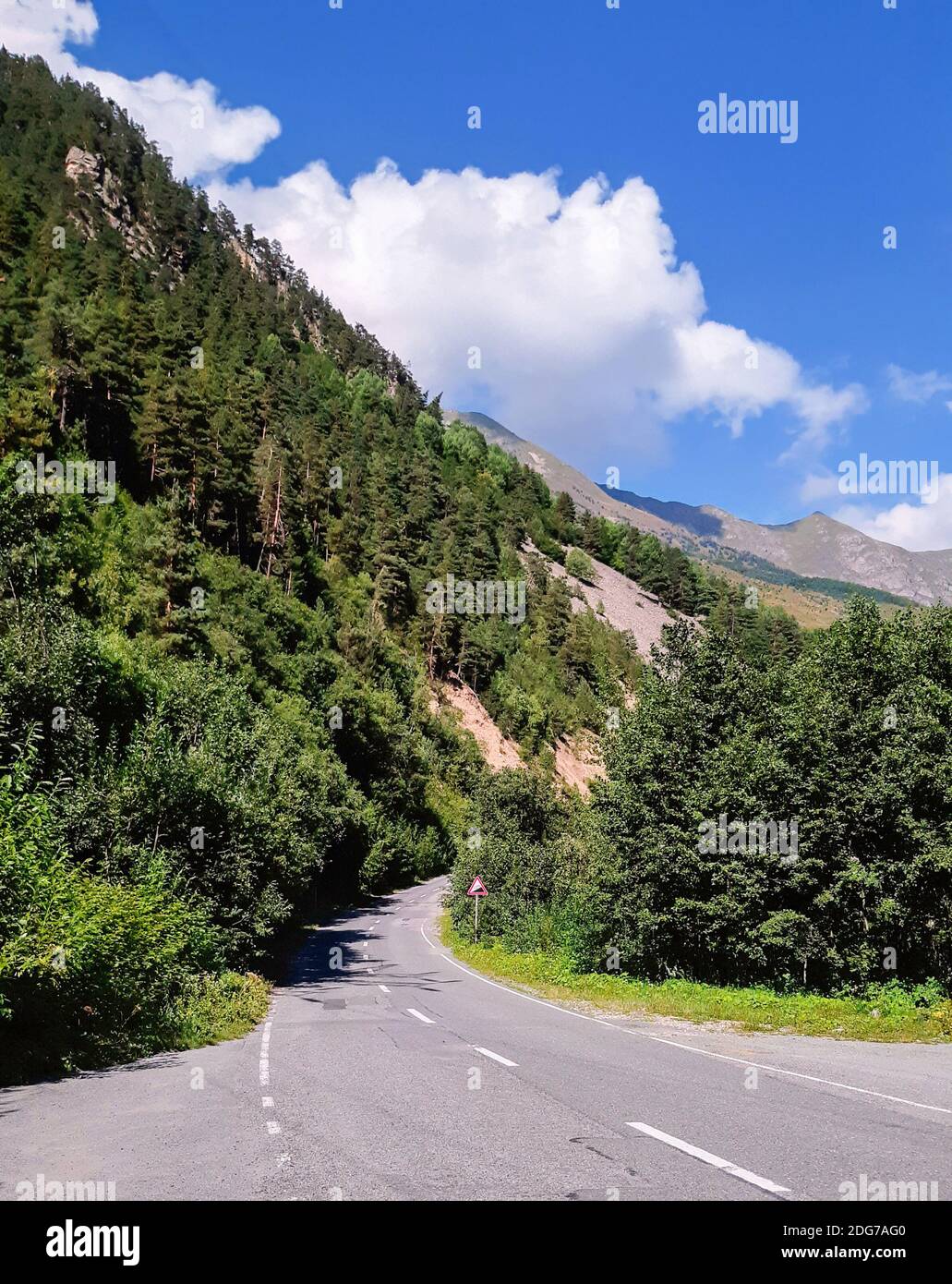 Summer view on a winding road amidst forest beside high mountain slope covered with green pine trees Stock Photo