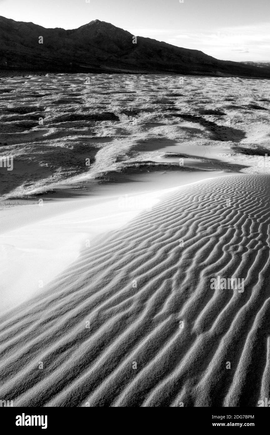 Black and White Sand Dunes Mojave Desert Joshua Tree Stock Photo